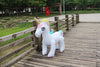 GIGANTIC UNICORN & ELEPHANT BACKYARD SPRINKLER