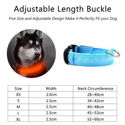 Night-Safety LED Pet Collar