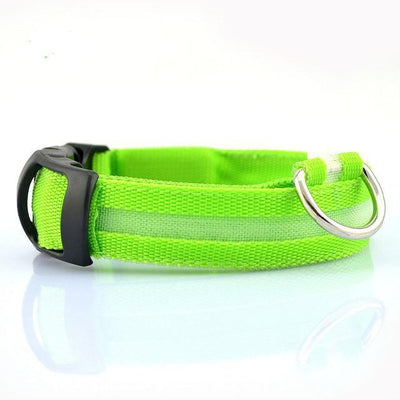 Night-Safety LED Pet Collar