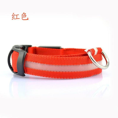 Night-Safety LED Pet Collar