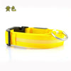 Night-Safety LED Pet Collar